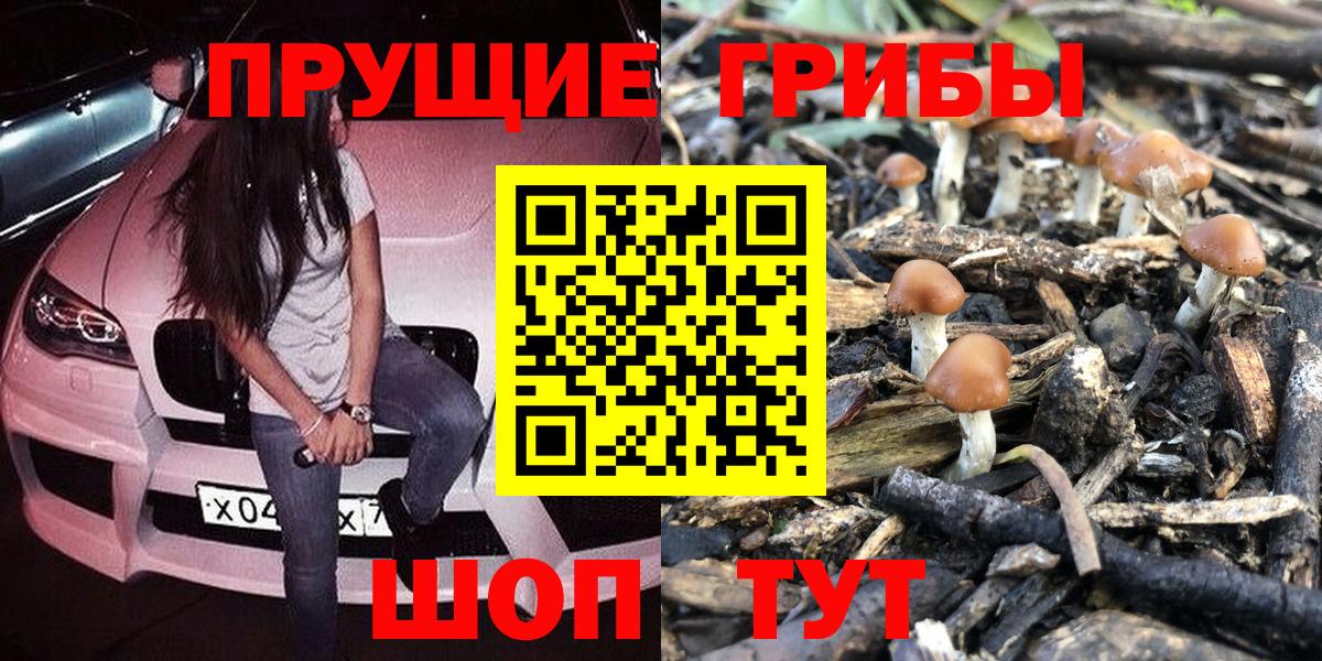 Псилоцибиновые грибы прущие грибы Реутов