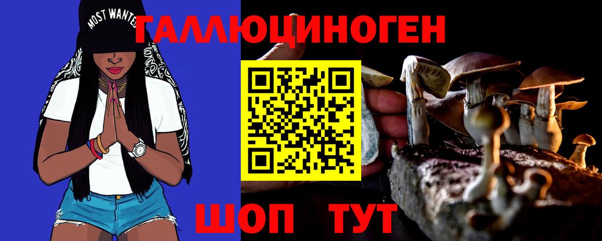 Гашиш  A PVP СОЛЬ   Кокаин  Реутов  Канабис  Вход с VPN  ГАШ  Мефедрон  Меф МЯУ МЯУ  